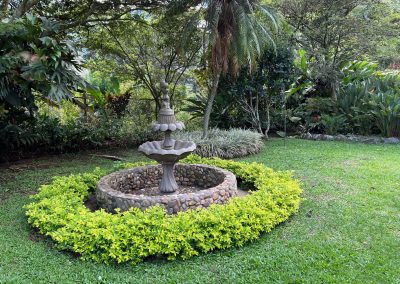 fountain-surrounded-by-greenery